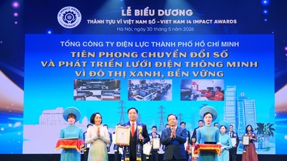 EVNHCMC werd in 2026 in 3 prestatiecategorieën voor Vietnam onderscheiden.