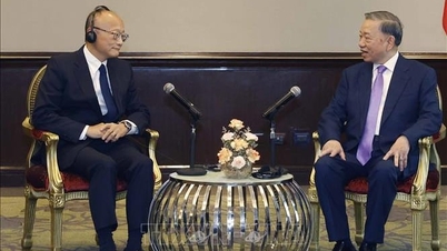Le président de la BAD soutient « l'ère de l'émergence du Vietnam » et prévoit d'y investir 6 milliards de dollars.