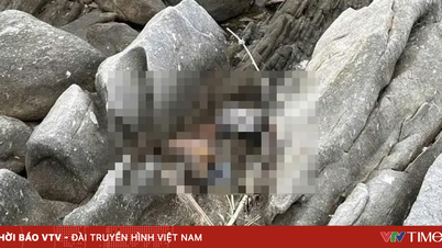 Αποσυντεθειμένο πτώμα ανακαλύφθηκε σε βραχώδη περιοχή του Khanh Hoa
