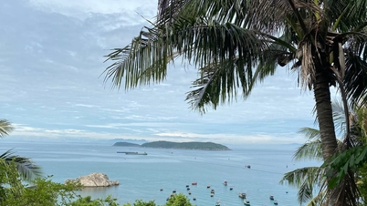 Environmental management and protection of the Cu Lao Cham - Hoi An World Biosphere Reserve.