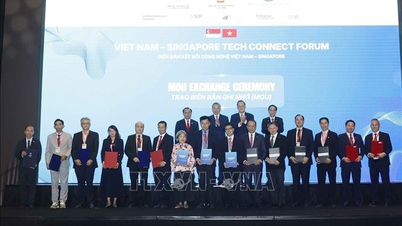 Il Vietnam e Singapore ampliano le opportunità di cooperazione nel campo dell'intelligenza artificiale e dell'innovazione.