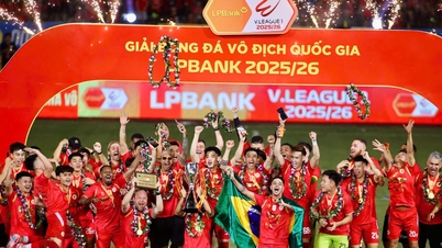 Das stärkste Team gewinnt die V.League-Meisterschaft.