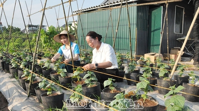 Van Giang Commune Women's Union: Supporting members in economic development