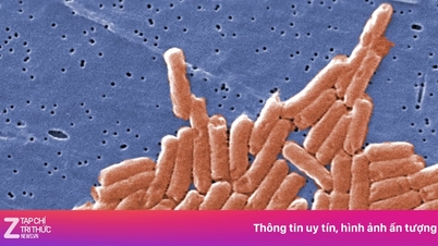 Căn bệnh dễ bùng phát mùa nóng nhưng nhiều người thường chủ quan