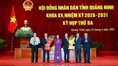 សមមិត្ត ង្វៀន ហុងឌឿង ត្រូវបានជ្រើសតាំងឲ្យកាន់តំណែងជាអនុប្រធានក្រុមប្រឹក្សាប្រជាជនខេត្ត។