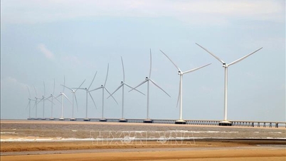 L'energia eolica sta trainando una crescita a doppia cifra a Vinh Long.