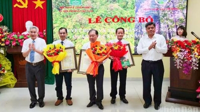 Two more tree populations and 14 individual trees in Phu Quoc have been recognized as Vietnamese Heritage Trees.