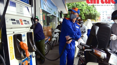 El biocombustible E10 ya está disponible en todo el país.