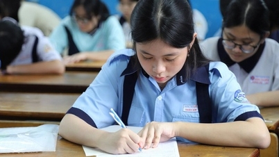 Questões e respostas atualizadas para o exame de Literatura do 10º ano na cidade de Ho Chi Minh em 2026.