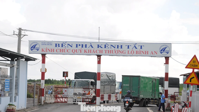 Vinh Long Vam Cong فیری کلسٹر کے آپریشن کو برقرار رکھنے کے لیے مرکزی حکومت سے فنڈنگ ​​کی درخواست کر رہا ہے۔