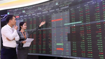 VN 지수가 1,900포인트 아래로 떨어졌습니다. 6월까지 조정 압력이 지속될까요?
