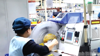Industria continuă să crească puternic, jucând un rol cheie în economie.