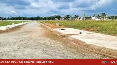 Da Nang zkracuje dobu zpracování u 5 pozemkových řízení na polovinu.