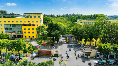 Tra Vinh Üniversitesi, birçok bölüm için birinci yıl öğrenim ücretlerini kaldırdı ve bursları artırdı.