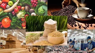 Exports of agricultural, forestry, and aquatic products exceeded 30 billion USD in the first five months of the year.