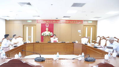 Naib Pengerusi Jawatankuasa Rakyat Wilayah Trinh Minh Hoang mengadakan mesyuarat untuk mendengar laporan mengenai kemajuan projek kuasa nuklear.