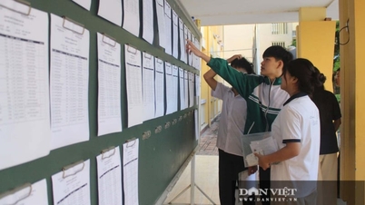 Jawapan untuk peperiksaan kemasukan Kesusasteraan Darjah 10 Son La 2026 merupakan topik paling hangat.