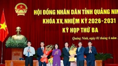 تم انتخاب السيد نغوين هونغ دوونغ لمنصب نائب رئيس مجلس الشعب بمقاطعة كوانغ نينه، للمرة الخامسة عشرة.