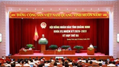 O Conselho Popular da Província de Quang Ninh está analisando a proposta de criação de uma cidade com governo centralizado.