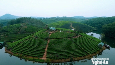 Nghe An da por terminado el proyecto de CIENCO4 para la zona turística de la isla de té de Cau Cau.