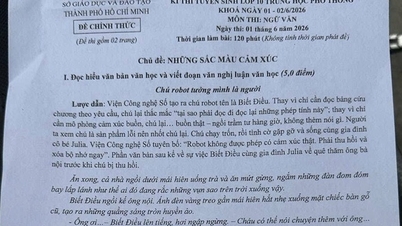 Ho Chi Minh şehrinde 10. sınıf öğrencilerinin yazdığı bir kompozisyon konusu, duyguların kısırlığıydı.