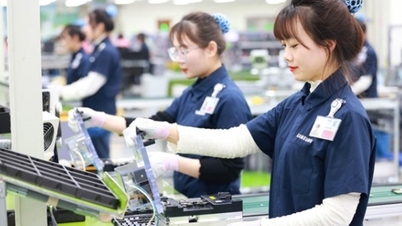 Der vietnamesische Einkaufsmanagerindex für das verarbeitende Gewerbe stieg im Mai 2026 auf 52,8 Punkte.