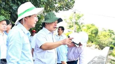 Tindakan segera diperlukan untuk menangani sistem saliran banjir di hilir Sungai Ha Thanh.