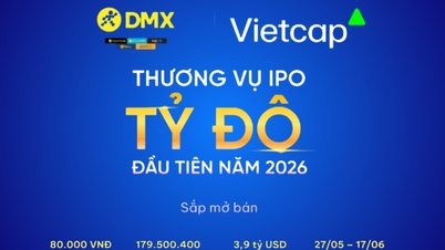 Điện Máy Xanh (DMX) - IPO Chào Bán Hơn 179,5 Triệu Cổ Phiếu, Giá Dự Kiến 80.000 Đồng