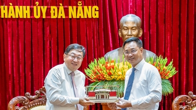 Le Ngoc Quang, secretaris van het partijcomité van Da Nang, ontvangt de Maleisische ambassadeur in Vietnam.