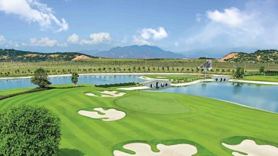Can Tho navrhuje pilotní projekt přeměny rýžových polí na golfový a rekreační komplex.