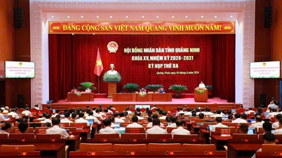 Il compagno Nguyen Hong Duong è stato eletto alla carica di vicepresidente del Consiglio popolare provinciale di Quang Ninh, per il 15° mandato, dal 2026 al 2031.