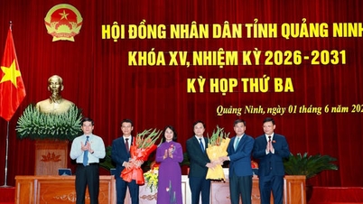 Domnul Nguyen Hong Duong a fost ales în funcția de vicepreședinte al Consiliului Popular al Provinciei Quang Ninh.