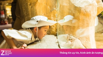 VinWonders និងមូលនិធិលើកកម្ពស់ការអប់រំ ផ្តល់ឱ្យកុមារនូវរដូវក្តៅដ៏មានអត្ថន័យ។