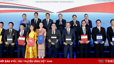 Frau Pang und Dr. Nguyen Thi Phuong Thao bündeln ihre Kräfte, um Sport, Kultur und Gemeindeentwicklung zu fördern.