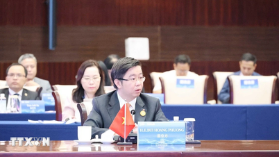 Vietnam ha logrado un progreso notable en su ecosistema de startups y en su economía digital.