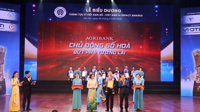 Agribank fue galardonada con el premio Vietnam Impact Achievement Award de 2006.