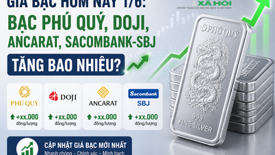 أسعار الفضة اليوم، 1 يونيو: بكم ارتفعت أسعار الفضة في فو كوي، دوجي، أنكارات، وساكومبانك-إس بي جيه؟