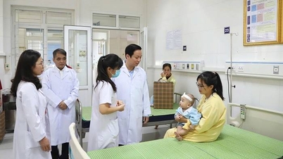 प्रांतीय जन समिति के अध्यक्ष ले हाई होआ ने प्रांतीय जनरल अस्पताल में इलाज करा रहे बाल रोगियों से मुलाकात की और उनका हौसला बढ़ाया।