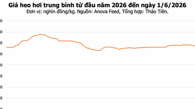 Prețurile cărnii de porc astăzi, 1 iunie: Prețurile continuă să scadă în regiunile Nord și Centru, cel mai mic preț fiind de 66.000 VND/kg.