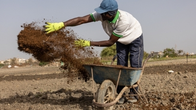 Les conflits au Moyen-Orient incitent les agriculteurs à rechercher des alternatives aux engrais chimiques.