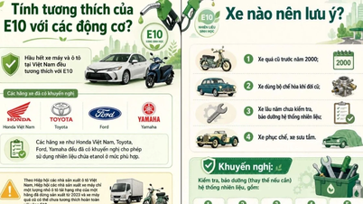 Το Υπουργείο Βιομηχανίας και Εμπορίου προειδοποιεί για κινδύνους που αντιμετωπίζουν ορισμένα μοντέλα αυτοκινήτων κατά τη χρήση βενζίνης E10.