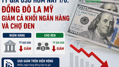 Směnný kurz USD dnes, 1. června: Americký dolar klesá jak na bankovním, tak na černém trhu.