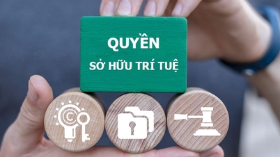 Drie weken van intensievere inspanningen om inbreuken op intellectueel eigendom te bestrijden: boetes van in totaal 12,6 miljard VND.