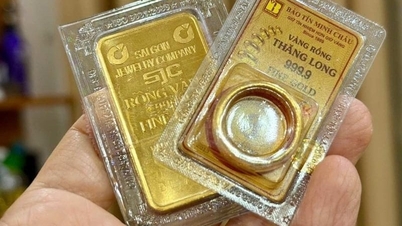 Ceník zlata pro 9999, 24K a 18K zlato (SJC, DOJI, PNJ) dnes, 1. června 2026.