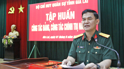Provinzmilitärkommando Gia Lai: Verbesserung der Fähigkeiten der Offiziere zur Durchführung von Partei- und politischen Aufgaben.