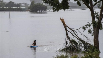 Badai besar melanda Australia Barat, menyebabkan hampir 70.000 rumah tangga kehilangan aliran listrik.