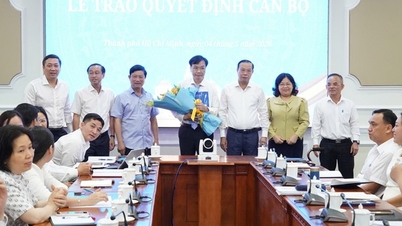 Vicedirektøren for Finansministeriet er blevet udnævnt til vicechef for kontoret for delegationen af ​​​​nationalforsamlingsrepræsentanter og Folkerådet i Ho Chi Minh City.