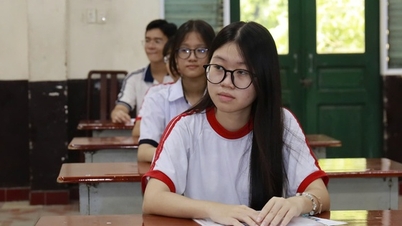 ข้อสอบและเฉลยวิชาภาษาอังกฤษ ชั้นมัธยมศึกษาปีที่ 4 ในเมืองโฮจิมินห์ ปี 2026 (ทุกรหัสวิชา)