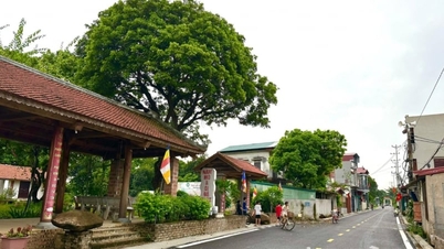 Menurut kedudukan organisasi kampung dan kejiranan terkini, di Hai Phong (termasuk bekas wilayah Hai Duong), berapa ribu kampung dan kejiranan yang belum memenuhi keperluan ini?