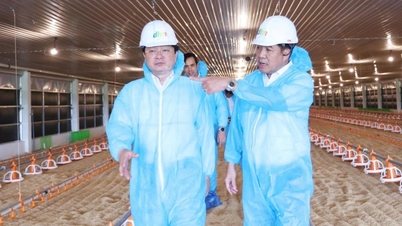 Para pemimpin Tay Ninh melawat projek penternakan berteknologi tinggi DHN Tay Ninh 2.